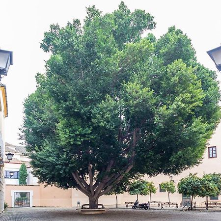 Alohamundi Escuelas Pias Sevilla Eksteriør billede